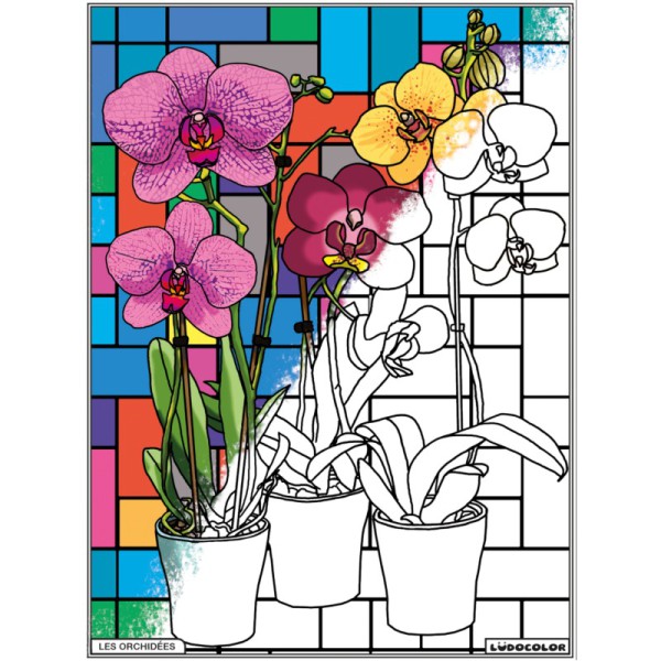 Tableau velours - Les Orchidées visuel semi remplis