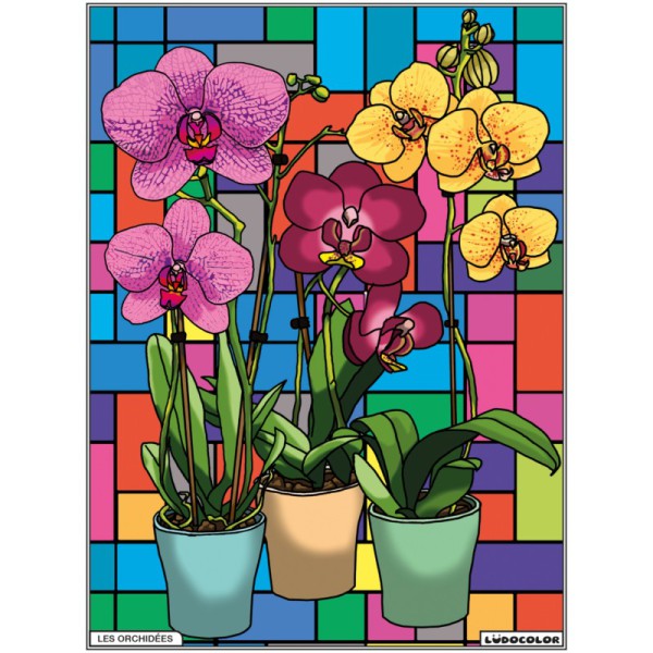 Tableau velours - Les Orchidées