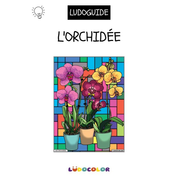 Tableau velours - Les Orchidées ludoguide