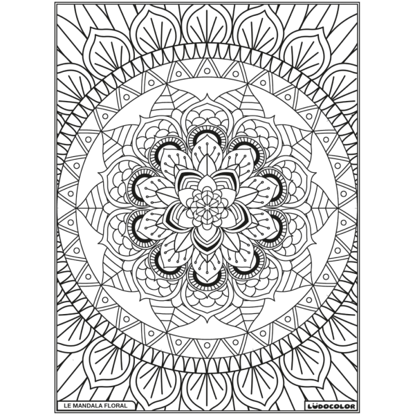 Tableau velours - Le Mandala Floral visuel noir et blanc