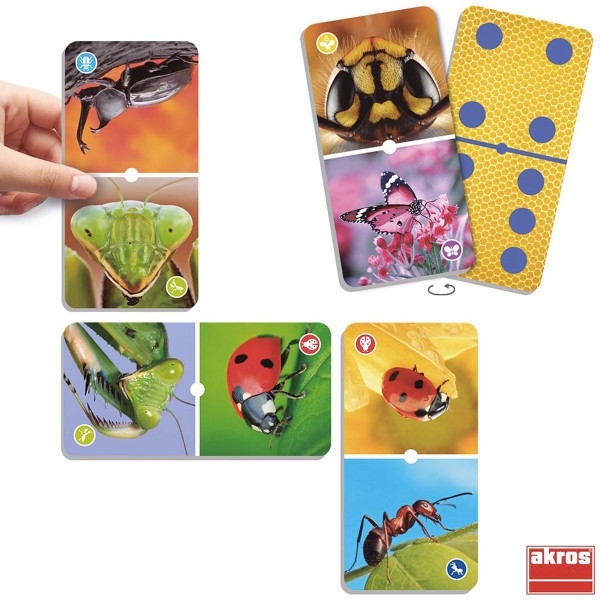 Natu-domino les insectes, exemples de plusieurs dominos classique ou insecte assemblés 