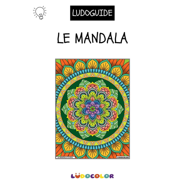 Tableau velours - Le Mandala Floral, ludoguide