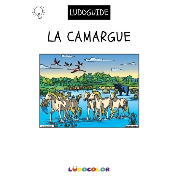 Tableau de velours - La Camargue ludoguide