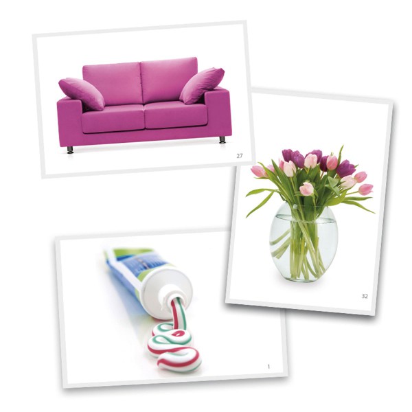 Photographies objets de la maison, 3 images d'objets de la maison, canapé, fleurs, dentifrice  