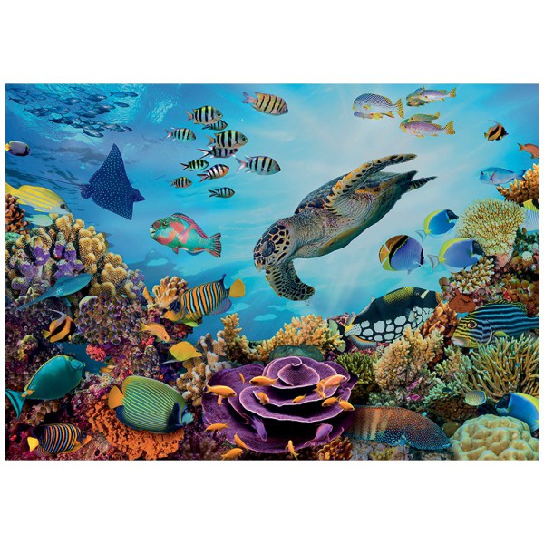 Puzzle 500p XL - Fonds Marins visuel 2