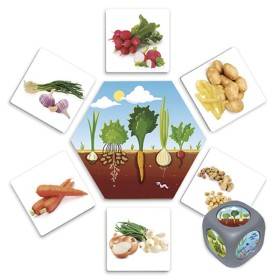 D'ou viennent les aliments, légumes poussant dans la terre, radis, pomme de terre, carotte, oignons, cacahuètes, Ails, Dé du je