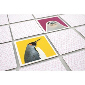 Mémory wild life, 2 cartes retournées au milieu des faces cachées