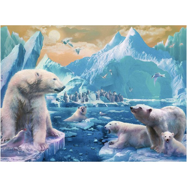 Au royaume des ours polaires puzzle 300p XXL