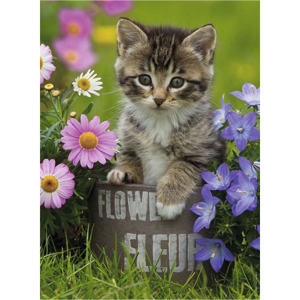 Chaton permis les fleurs, Puzzle 100pXXL