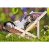 Chatons au repos, Puzzle 2x24p, 1 Puzzle, 1 chaton