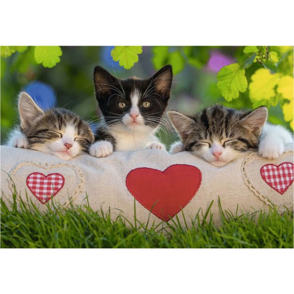 Chatons au repos, Puzzle 2x24p, 1 Puzzle, 3 chatons