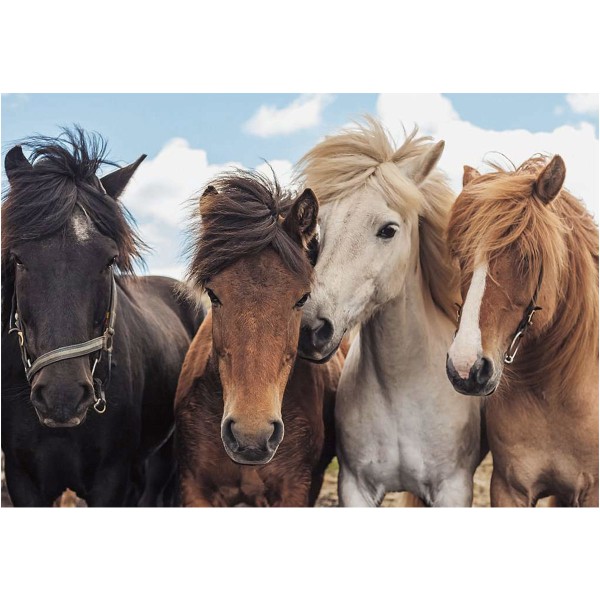 L'amour des chevaux, puzzle 2x24p, 1 puzzle 24p, 4 chevaux