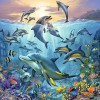 Le monde animal de l'océan, Puzzle 3x49p, Puzzle 2