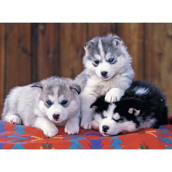 Mignons Huskies, Puzzle 200p XXL