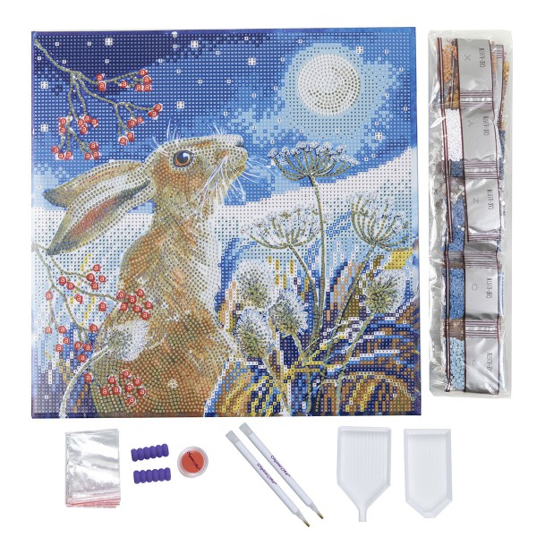 Kit broderie diamant 30x30cm, Lapin clair de lune, éléments du Kit