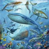 Le monde animal de l'océan, Puzzle 3x49p, Puzzle 3