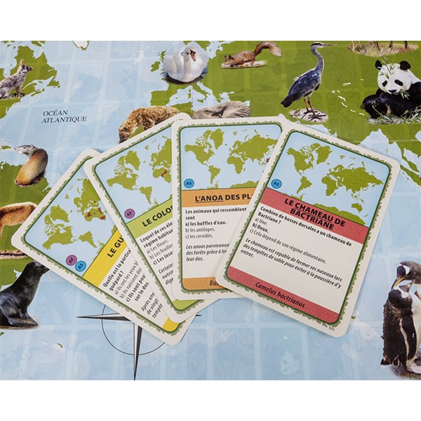 Animaux du monde 4 cartes + plateau